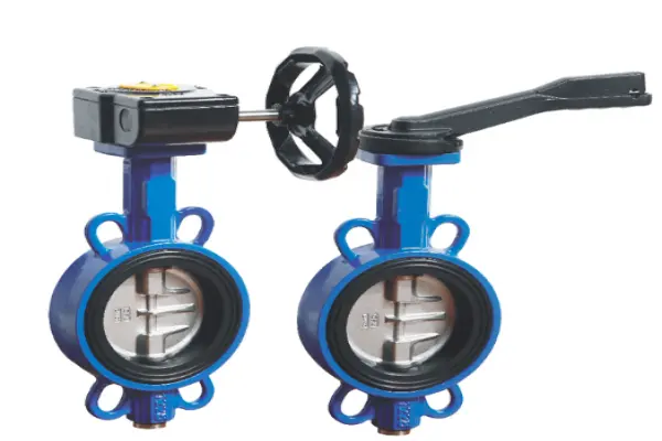 Wafer valve